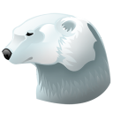 Polar bear