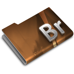 Adobe bridge overlay cs