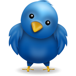 Bird blue twitter animal