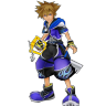 Sora wisdom form