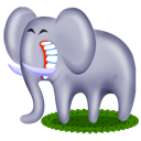 Elephant animal