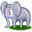 Elephant animal