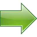 Next forward right go pause previous last netx back icon arrow