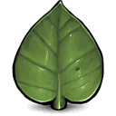 Leaf