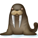 Walrus peguin