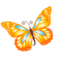 Animal butterfly orange