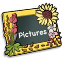 Picture pictures