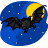 Bat