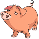 Pig