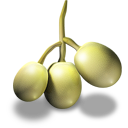 Grapes