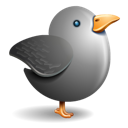 Grey bird twitter gray bird