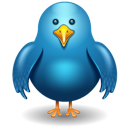 Twitter bird