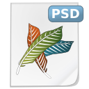 Mimetypes psd