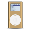 Ipod mini bronze