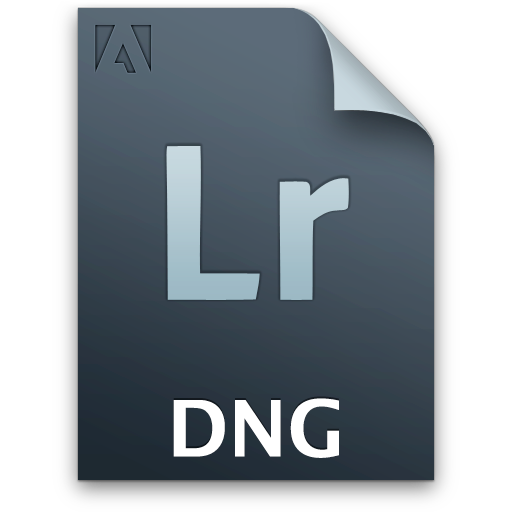 Secondary lr file dng document