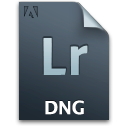 Secondary lr file dng document