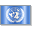 United nations flag