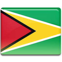 Guyana flag