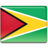 Guyana flag