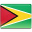 Guyana flag