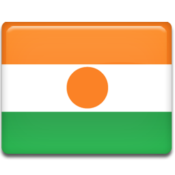 Niger flag