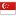 Singapore flag