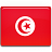 Tunisia flag