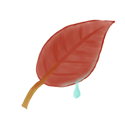 Leaf