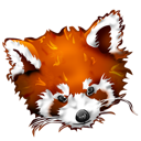 Firefox panda animal fox roux