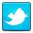 Twitter bird social