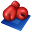 Boxing sport