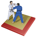 Judo sport