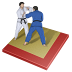 Judo sport