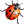 Ladybird