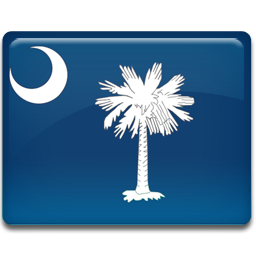 South flag carolina