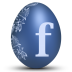 Facebook social network