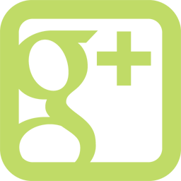 Google plus social network