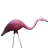 Pink flamingo vintage