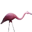 Pink flamingo vintage