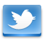 Twitter social network