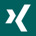 Xing social network