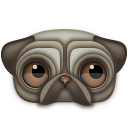 Pug