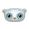 Snow leopard