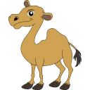 Camel