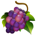 True vine food grapes