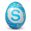 Skype social network