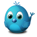 Twitter animal bird