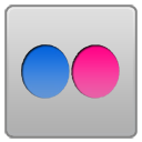 Flickr network internet social logo