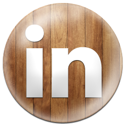 Linkedin social network