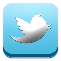 Twitter social network